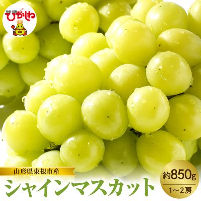 ふるさと納税 東根市 【2026年産】東根市産 シャインマスカット 約850g (1〜2房) hi074-016