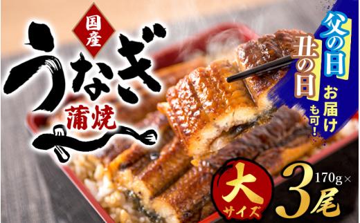 【大型サイズ】ふっくら柔らか 国産うなぎ蒲焼き 3尾/うなぎ ウナギ 鰻 うなぎ蒲焼 国産