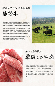 定期便【全3回/毎月お届け】まぐろ・うなぎ・和牛を楽しむ贅沢定期便A / 鮪 マグロ 刺身 鰻 ウナギ 蒲焼 熊野牛 肉 牛肉 和牛 黒毛和牛 ヒレ ロース シャトーブリアン ステーキ スライス【tk
