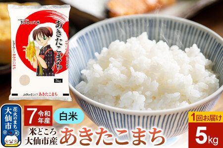 米 新米 令和7年産【白米】あきたこまち 5kg 秋田県 大仙市産