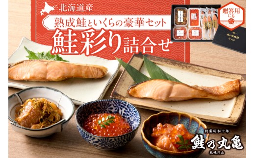 北海道産 熟成 鮭 いくら 数の子 セット 詰め合わせ ikura 醤油漬け 中辛鮭 松前漬 おかず おつまみ お取り寄せ グルメ 豪華セット 海鮮 魚介 水産 切り身 冷凍 北海道 札幌市