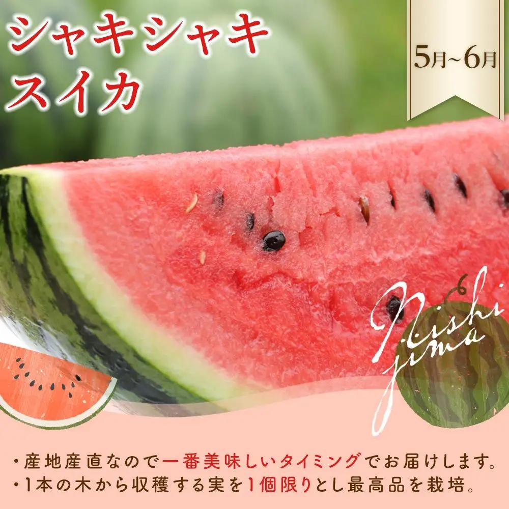 【年5回 フルーツ定期便】季節のフルーツセット【いちご スイカ マンゴー メロン】