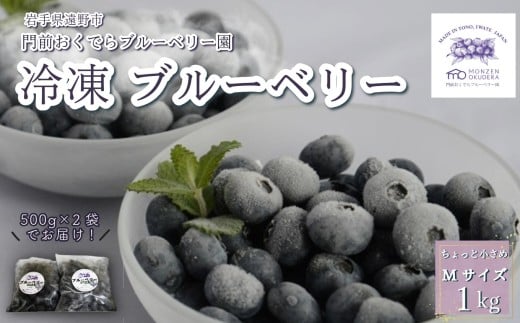 冷凍 ブルーベリー ちょっと小さめ Mサイズ 1kg （500gパック2個入り） 門前おくでらブルーベリー園 岩手県 遠野市 産 お取り寄せ 産地直送 2025年産 冷凍ブルーベリー