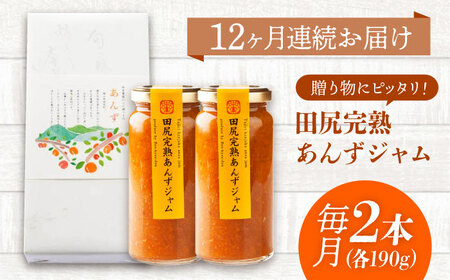 【全12回定期便】 ジャム 田尻完熟あんずジャム (2本)　ジャム 果物 あんず パン 甘い 菓子 朝ごはん 広島県福山市/有限会社勉強堂[BAFL014]