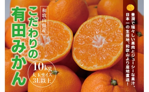 ＼光センサー選別／【農家直送】有田みかん 約10kg 大玉3L以上 先行予約 有機質肥料100% ※2024年12月初旬～2025年1月中旬に順次発送(お届け日指定不可) みかん 柑橘類【nuk139E】