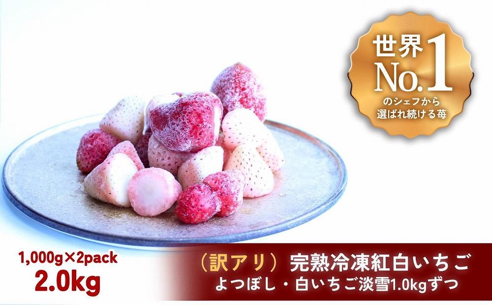 【訳アリ/食べ比べ】完熟冷凍苺「よつぼし＆淡雪 1.0kg × 2種類」化粧箱入【果実まるごとアイス】 DY012