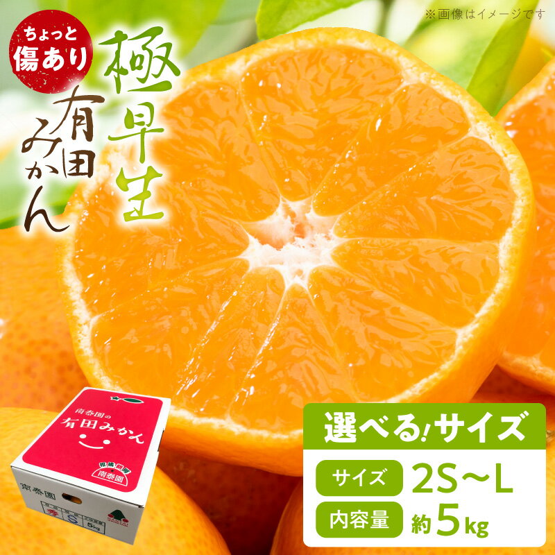 【ふるさと納税】ちょっと傷あり 極早生 有田みかん 約5kg 選べる サイズ Sまたは2Sサイズ LまたはMサイズ 訳あり 蜜柑 柑橘 温州みかん 和歌山 有田 果物 フルーツ 和歌山県産 柑橘専業農家 南泰園 手選別 マルチ栽培 和歌山県 湯浅町 お取り寄せ 送料無料