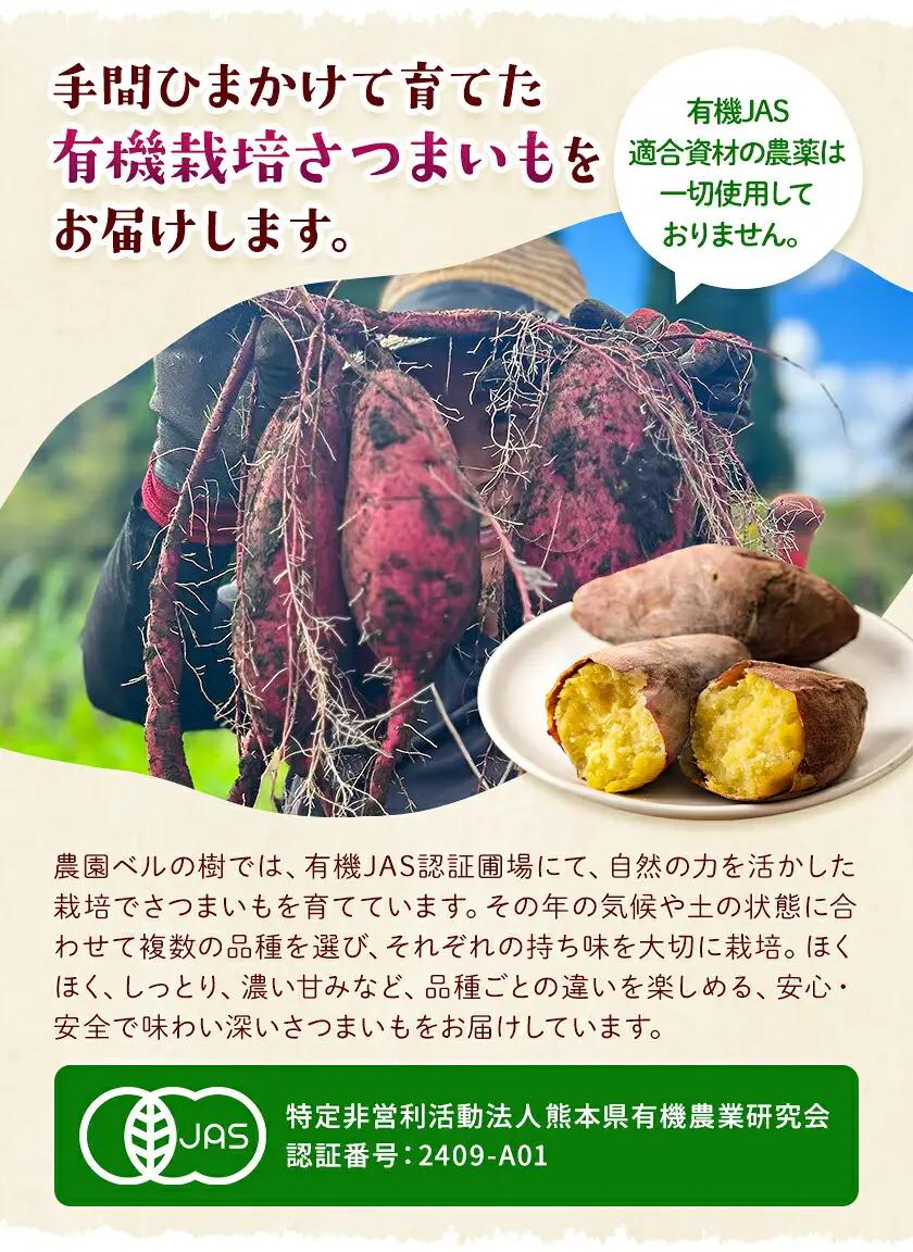 有機JAS認定 紅はるか 5kg 農園ベルの樹 熊本県 南阿蘇村 さつまいも オーガニック 有機栽培 薩摩芋