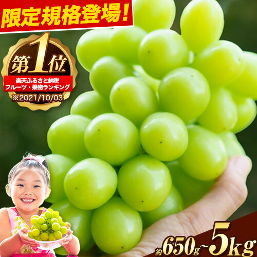 岡山県産 シャインマスカット 約1.2kg 2房 葡萄 果物 訳あり 優品 スイーツ フルーツ デザート 岡山県矢掛町《3-10営業日以内に出荷(土日祝除く)》