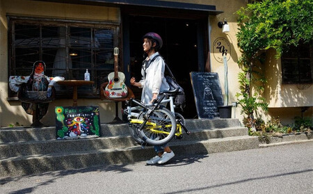 Tyrell(タイレル) IVE 鶯 (uguisu) 自転車 折りたたみ式 ミニベロ スポーツ ロードバイク スポーツサイクル 通勤 通学 サイクリング 変速付き 香川県