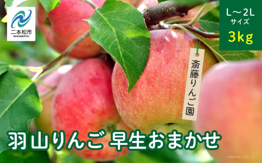 《2026年8月下旬以降順次発送》羽山のりんご　早生おまかせL〜2Lサイズ3kg りんご リンゴ 果物 フルーツ 羽山りんご 3kg 早生 人気 くだもの おすすめ お中元 お歳暮 ギフト 二本松市 ふくしま 福島県 送料無料【斎藤りんご園】
