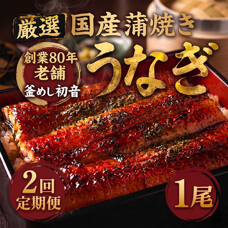 【ふるさと納税】 定期便 2回 国産 うなぎ かば焼き 1尾 （ 1本約190g〜220g ） 70年つぎ足しの秘伝のたれ 初音の 厳選 高知県産 うなぎ 蒲焼き タレ付き ウナギ 鰻 国産 魚 魚介類 冷凍 海鮮 土曜 丑の日 土曜の丑の日 うな重 うな丼 人気 おすすめ 頒布会 高知県産 室戸市