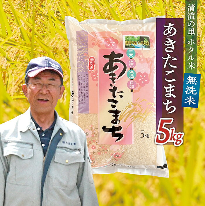 【ふるさと納税】令和8年産 【無洗米】最上町産 あきたこまち 5kg×1袋