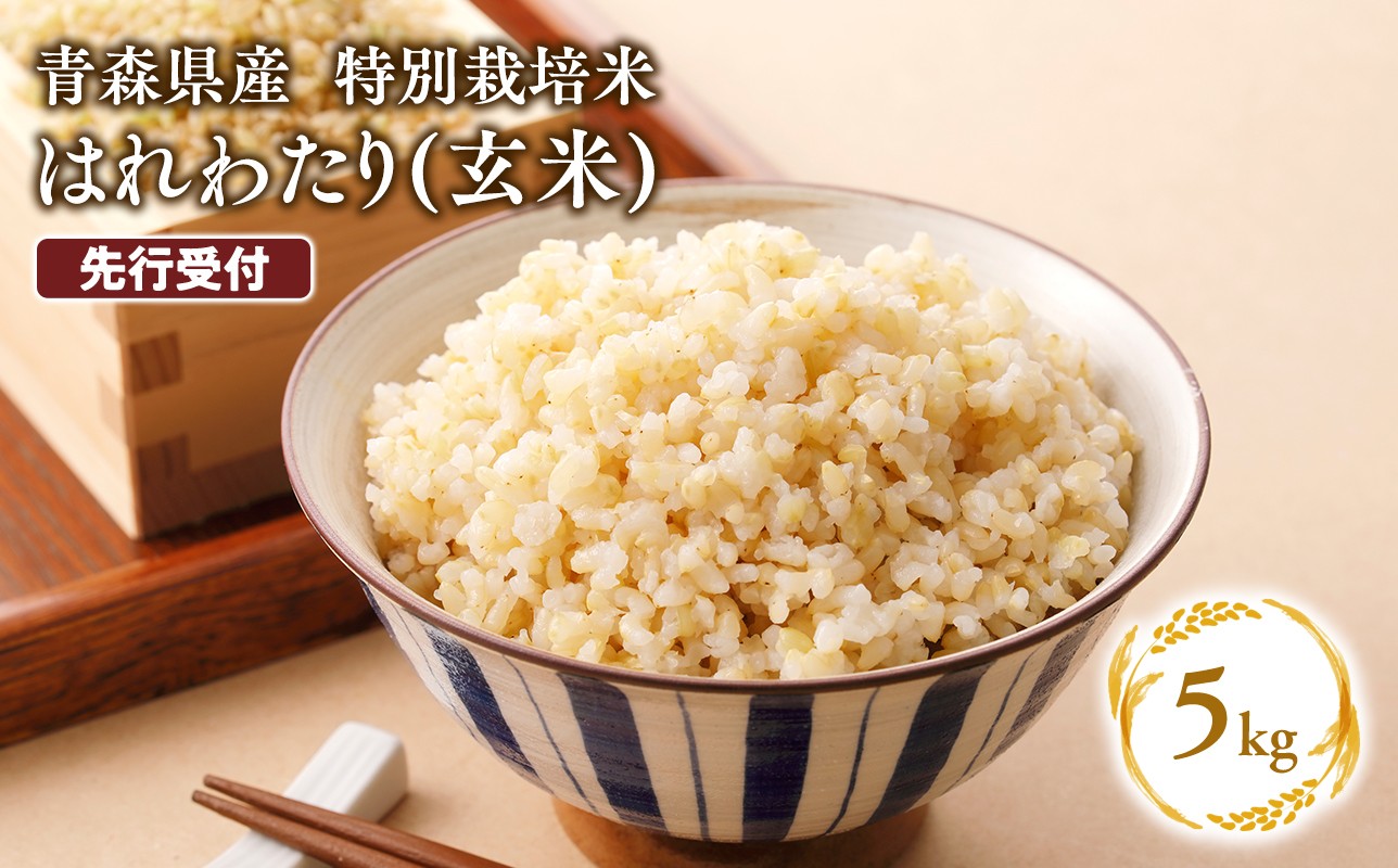 
                  ≪選べる配送月≫　特別栽培米 はれわたり玄米5kg【hi-0061-003】先行予約 米 お米 玄米 青森県産 産地直送 おにぎり 朝ご飯 冷めてもおいしい ご飯  コメ こめ 白米 ごはん ブランド米 特A 特A米 お取り寄せ グルメ
                