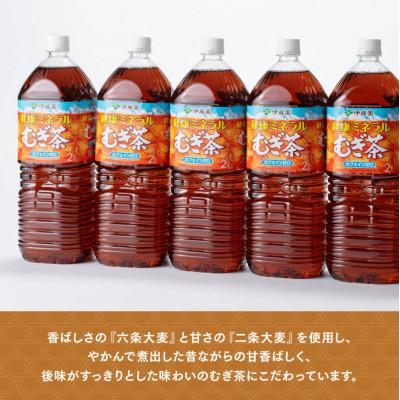ふるさと納税 川南町 【毎月定期便】健康ミネラル むぎ茶 カフェインゼロ 2L×6本×2ケース(川南町)全3回 |  | 01