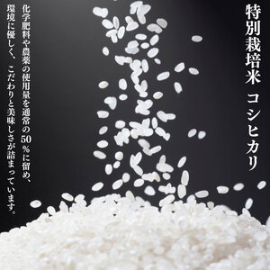 令和6年産 コシヒカリ 数量限定 特別栽培米 二王子米 お米 米 ご飯 こめ コシヒカリ せいだ 玄米 新潟 新発田 seida002