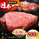 【ふるさと納税】長崎和牛 極厚 シャトーブリアン 約800g (200g×4枚) 肉 お肉 牛肉 赤身 和牛 希少部位 ヒレ ステーキ 東彼杵町/黒牛 [BBU031]