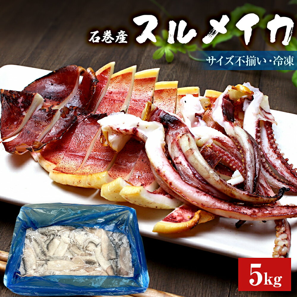 【ふるさと納税】＜訳あり＞ 石巻市産 スルメイカ5kg 冷凍 大容量 不揃い 加熱用 煮物 一夜干し するめいか いか おかず おつまみ マリネ パエリア イカリング いか唐揚げ イカ焼き バーベキュー 海鮮焼き お祭り 姿焼き 国産するめいか 烏賊 宮城 石巻 宮城県 石巻市