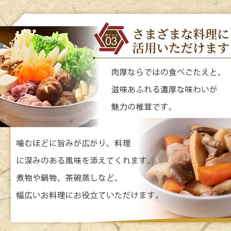 訳あり 乾燥椎茸 「媛子」 240g 炭火焙煎 【2026年11月下旬頃から順次発送】  | ワケアリしいたけ 訳アリ 椎茸 乾燥しいたけ キノコ きのこ ギフト オススメ 愛媛県 松山市 【EIR0