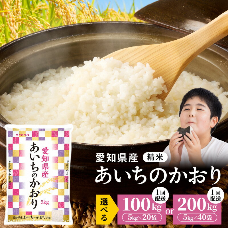 【ふるさと納税】米 愛知県産 あいちのかおり 精米 選べる 内容量 100kg 200kg 令和7年産米 白米 国産 安心 安全 ヤマトライス ツヤ 大粒 おにぎり お弁当 お米 芳醇な香り 適度な甘み 食品 食べ物 お取り寄せ 愛知県 碧南市 送料無料