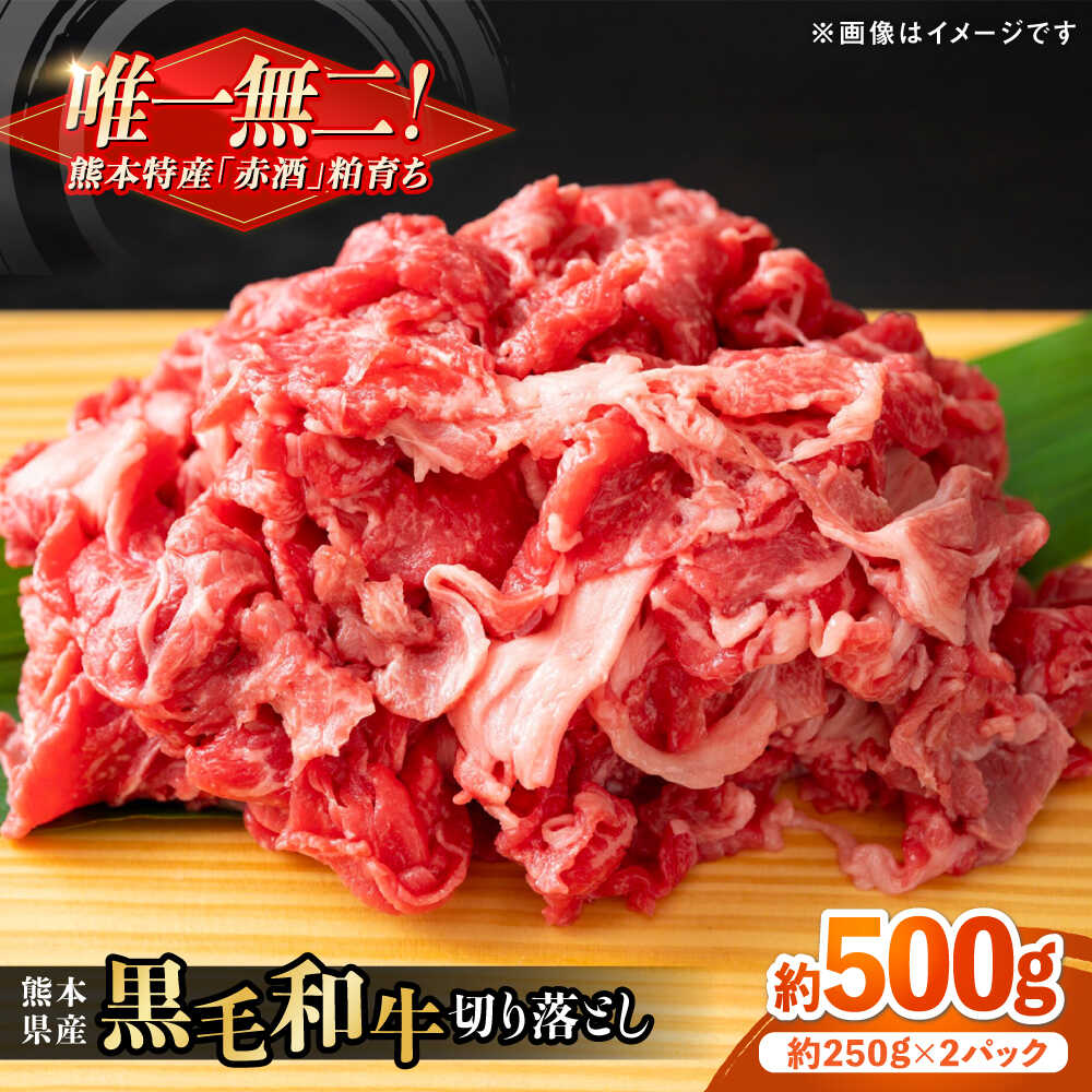 【ふるさと納税】熊本県産 『原田畜産』 黒毛和牛 切り落とし 計約500g（約250g×2パック） 牛肉 牛【有限会社 九州食肉産業】[AYCN126]