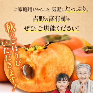 富有柿〈家庭用〉 約4kg（S～Lサイズ混載）  |  先行予約 大人気 人気 富有 柿 かき フルーツ 果物 辰巳果樹園 ギフト おすすめ 10月 11月 発送 カキ 秋の味覚 旬 甘い 大容量 農