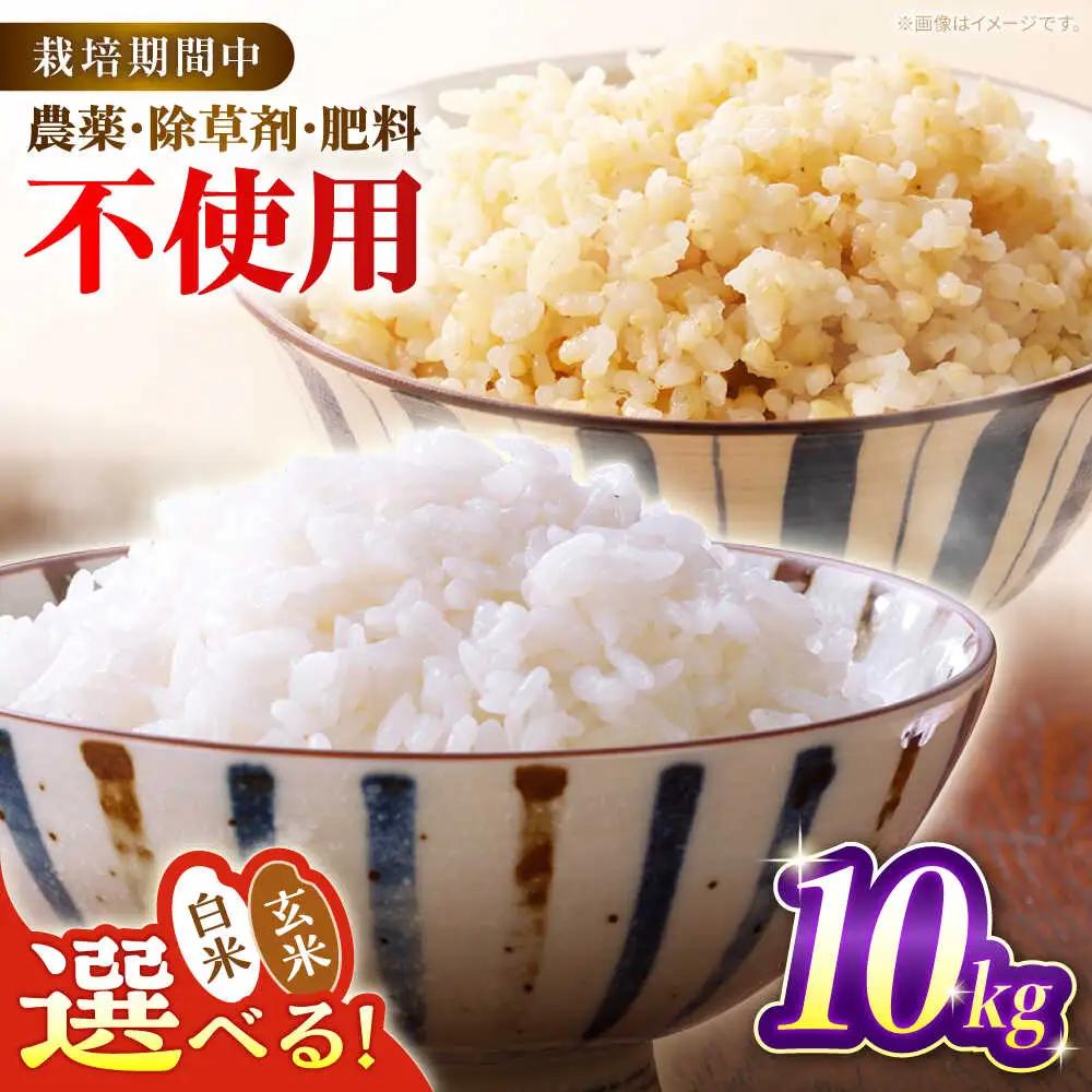 令和8年産 新米 10kg 黒川つばくろ農園[AWCB002] 米