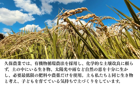 【先行予約】【令和7年産新米】コシヒカリ 精米 5kg 新潟県 |五泉市 コシヒカリ