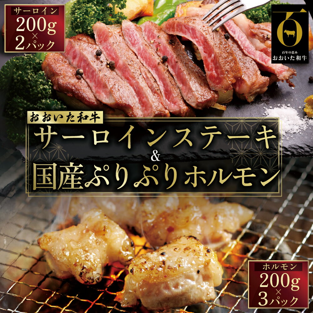【ふるさと納税】 おおいた 和牛 サーロイン ステーキ & ぷりぷり ホルモン ( 合計 1kg ) 牛肉 ステーキ用 九州産 大分県産 姫島村 G19