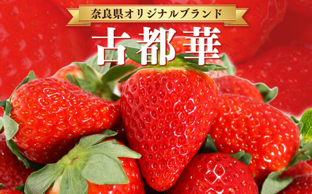 平群の古都華 サイズ おまかせ （ M ～ 2L サイズ ） 1ケース （ 2パック ）| フルーツ いちご 古都華 先行予約 奈良県 平群町