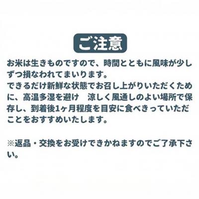 ふるさと納税 南あわじ市 令和7年産　淡路島産キヌヒカリ　白米10kg |  | 01