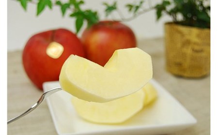 《先行予約 2026年度発送》【山形県産】サンふじりんご特秀品5kg りんご リンゴ 林檎 デザート フルーツ 果物 くだもの 果実 食品 山形県 FSY-2971