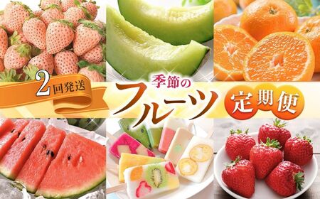 【 定期便2回 】 熊本 人気 フルーツ | 果物 白いちご 淡雪 不知火 デコポン みかん いちご イチゴ メロン すいか スイカ アイス キャンディー クレープ みかん 柑橘