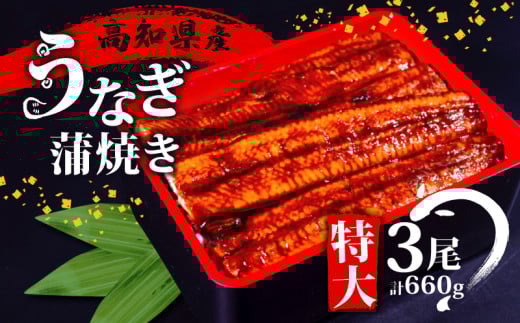 高知県産 うなぎ 蒲焼 220g×3尾 セット 養殖 鰻 うなぎ 蒲焼き かば焼き かばやき 惣菜 冷凍 真空パック 簡単調理 ME0062