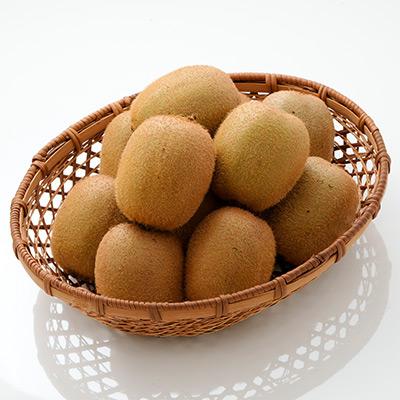 ふるさと納税 静岡市 キウイフルーツ　ヘイワード |  | 01