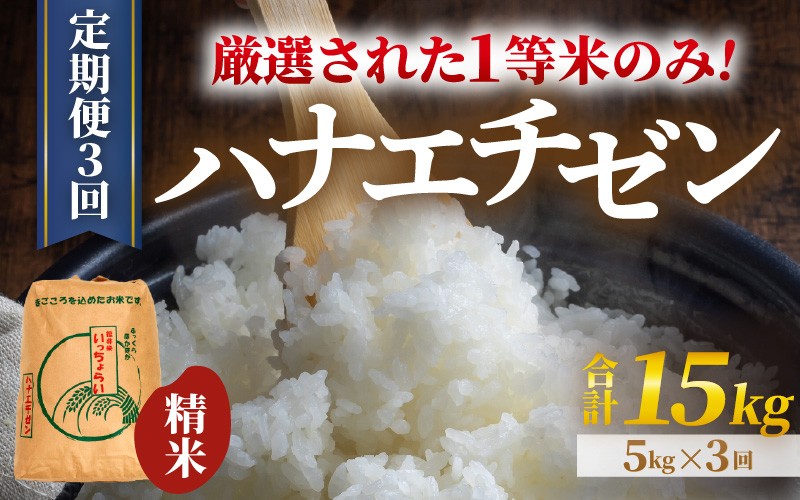 
                  【先行予約】【令和8年産・新米】【一等米】＜定期便3回＞ ハナエチゼン 精米 5kg × 3回（15kg）《発送直前精米！》 ／ 福井県産 ブランド米 ご飯 白米 お米 コメ 新鮮 大賞 受賞 新米 ※2026年9月上旬以降順次発送予定 [aw012-b027]
                