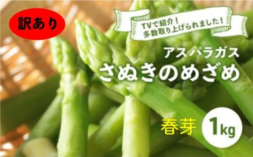 【訳あり】【先行予約】 アスパラガス さぬきのめざめ 春芽 1kg アスパラ グリーンアスパラ 野菜 やさい 旬 旬の野菜 季節の野菜 産地直送 香川 香川県 丸亀 丸亀市 冷蔵 冷蔵配送 疲労回復 免疫力向上 食物繊維 ビタミンC 柔らかい 甘い 料理 おかず アスパラベーコン巻き 炒め フライ ポタージュ ふるさと納税アスパラ ふるさと納税野菜 株式会社五色青果