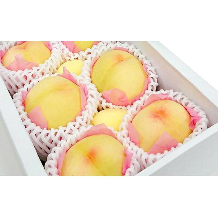 【ふるさと納税】【内容量が選べる】岡山の桃 白桃5～6玉（約1.3kg）又は14～16玉（約3.5kg） 2027年発送 | もも フルーツ 果物 くだもの 食品 人気 おすすめ 送料無料