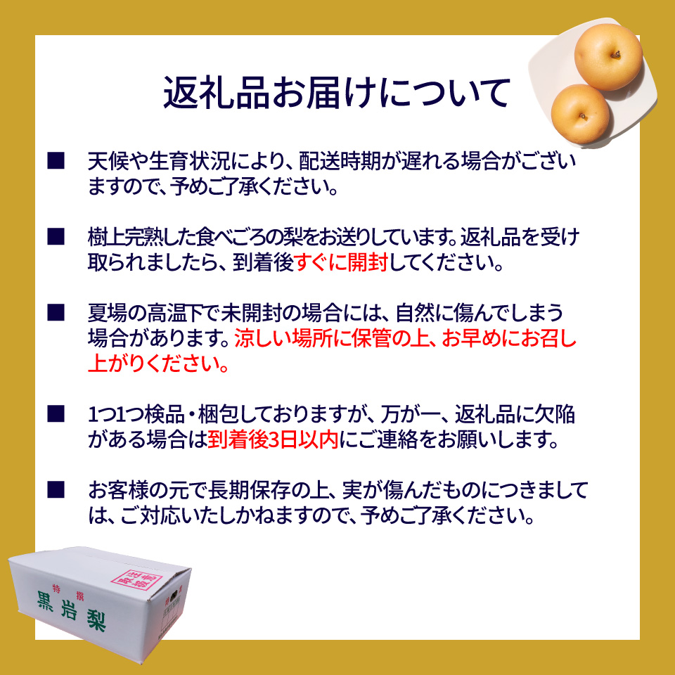 <2026年 9月上旬頃より発送予定> 豊水梨（約5㎏／8～12玉）黒岩 佐川町