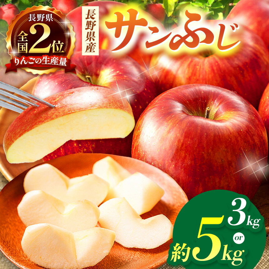 【ふるさと納税】【選べる内容量】信州産 サンふじ約3kg or 5kg | ふるさと納税 果物 くだもの フルーツ サンふじ リンゴ りんご 林檎 信州産 長野県 松本市