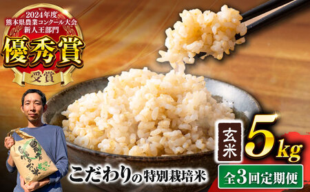 【先行予約】 【令和7年度】 【全3回定期便】 くまさんの輝き 玄米 5kg 計15kg（2025年10月下旬ごろ順次発送）【坂本農園】[AYCC023]