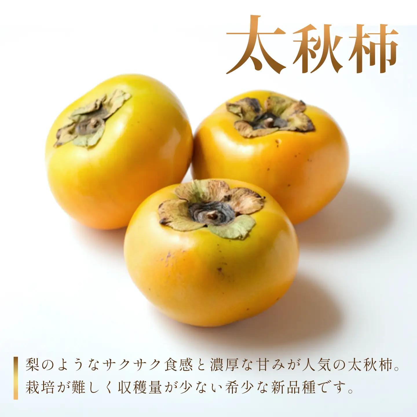 太秋柿（秀品）約５kg 10月発送 ｜ 大玉甘柿