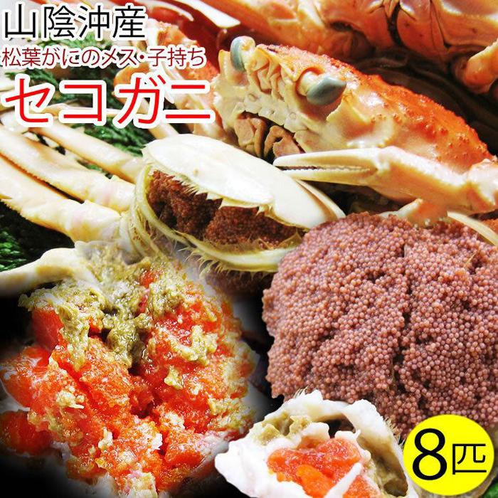 【ふるさと納税】セコガニ 訳あり (茹で) 8枚セット 鳥取県産【フォーシーズン】 | 鳥取 蟹 かに 親ガニ 期間限定 送料無料
