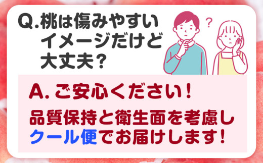 桃 和歌山県産 紀の里の桃 約1kg (3-5玉)《2025年6月中旬-8月中旬頃出荷》 2025年 紀の里の桃 白鳳 日川白鳳 なつっこ 清水白桃 川中島白桃 八旗白桃 和歌山 もも 一万円以下 1