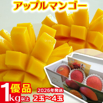 【ふるさと納税】2026年発送【羽地の駅】アップルマンゴー　1kg以上（優品） 沖縄 おきなわ オキナワ 名護 なご 人気 こだわり とろける くだもの あまい お取り寄せ お土産 食べ物 果物 食品 ご当地 県産 南国 トロピカル 夏