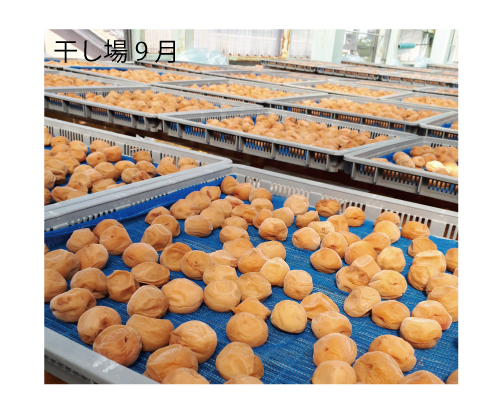 M069　紀州完熟南高梅　特別の日の梅干・一段重