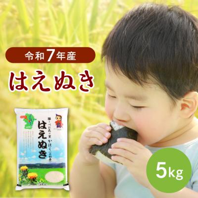 ふるさと納税 河北町 【令和7年産米】2026年2月中旬発送 はえぬき5kg 山形県産 【JAさがえ西村山】