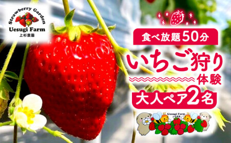 いちご狩り 大人2人利用券 みんなでいちご狩り 家族でいちご狩り 友達といちご狩り デートでいちご狩り