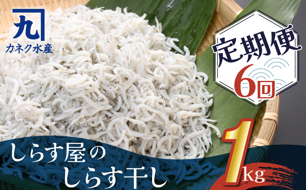 
しらす屋のしらす干し　１kg×6ヶ月　定期便 魚介類 しらす シラス 国産 海の幸 ご飯のお供 おつまみ しらす丼 グルメ ギフト 贈り物 やみつき 冷凍 H006-087
