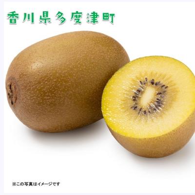 ふるさと納税 多度津町 香川県オリジナルキウイフルーツ『さぬきゴールド』約3kg【先行受付中!令和8年10月中旬【B-17】 |  | 02